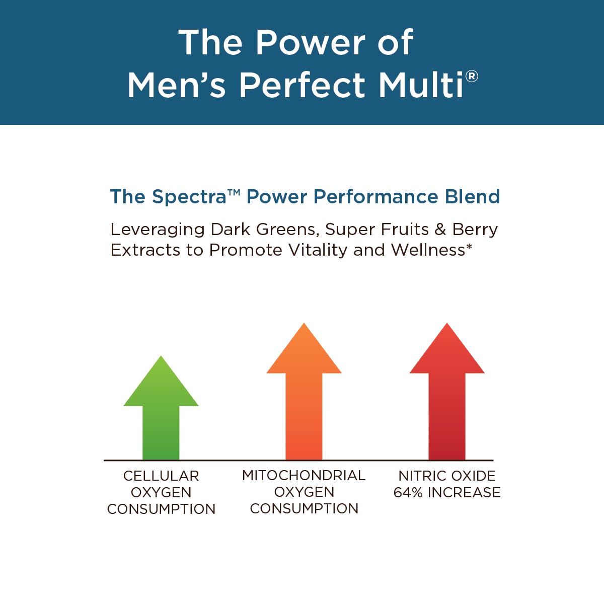 Purity Products Men's Perfect Multi from Vitamins, Minerals and Phytonutrients - Promotes Energy, Vitality and Stamina - Easy to Swallow - 90 Tablets Purity Products buy supplements canada