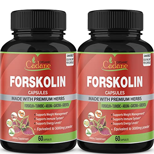 2 Packs Organic Forskolin Supplements Capsules 5000mg with Turmeric, Arjuna, Garcinia Cambogia Organic Cadane buy supplements canada