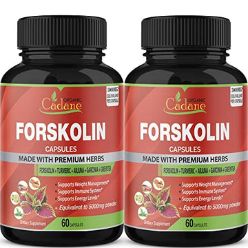 2 Packs Organic Forskolin Supplements Capsules 5000mg with Turmeric, Arjuna, Garcinia Cambogia Organic Cadane buy supplements canada