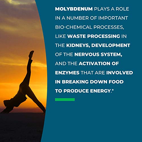 Seeking Health Molybdenum 500, Molybdenum Glycinate Chelate Supplement Seeking Health buy supplements canada