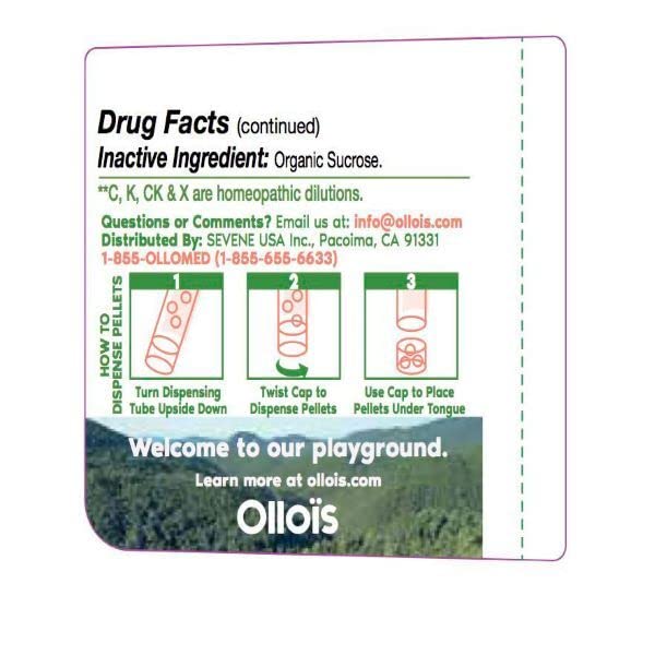 OLLOIS Essential Kit, 10 Organic, Lactose-Free, Vegan Homeopathic Remedies OLLOÏS buy supplements canada