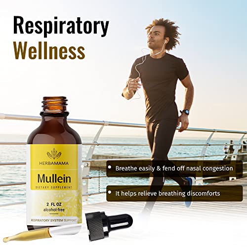 Mullein Leaf Tincture - Lung Cleanse - Vegan Lung Detox - Respiratory Health HERBAMAMA buy supplements canada