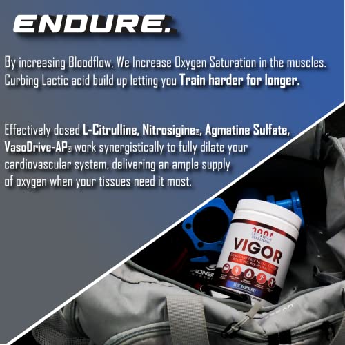 Leviathan Wellness Vigor - Stimulant Free, Nitric Oxide Boosting Pre-Workout Powder Leviathan Wellness buy supplements canada