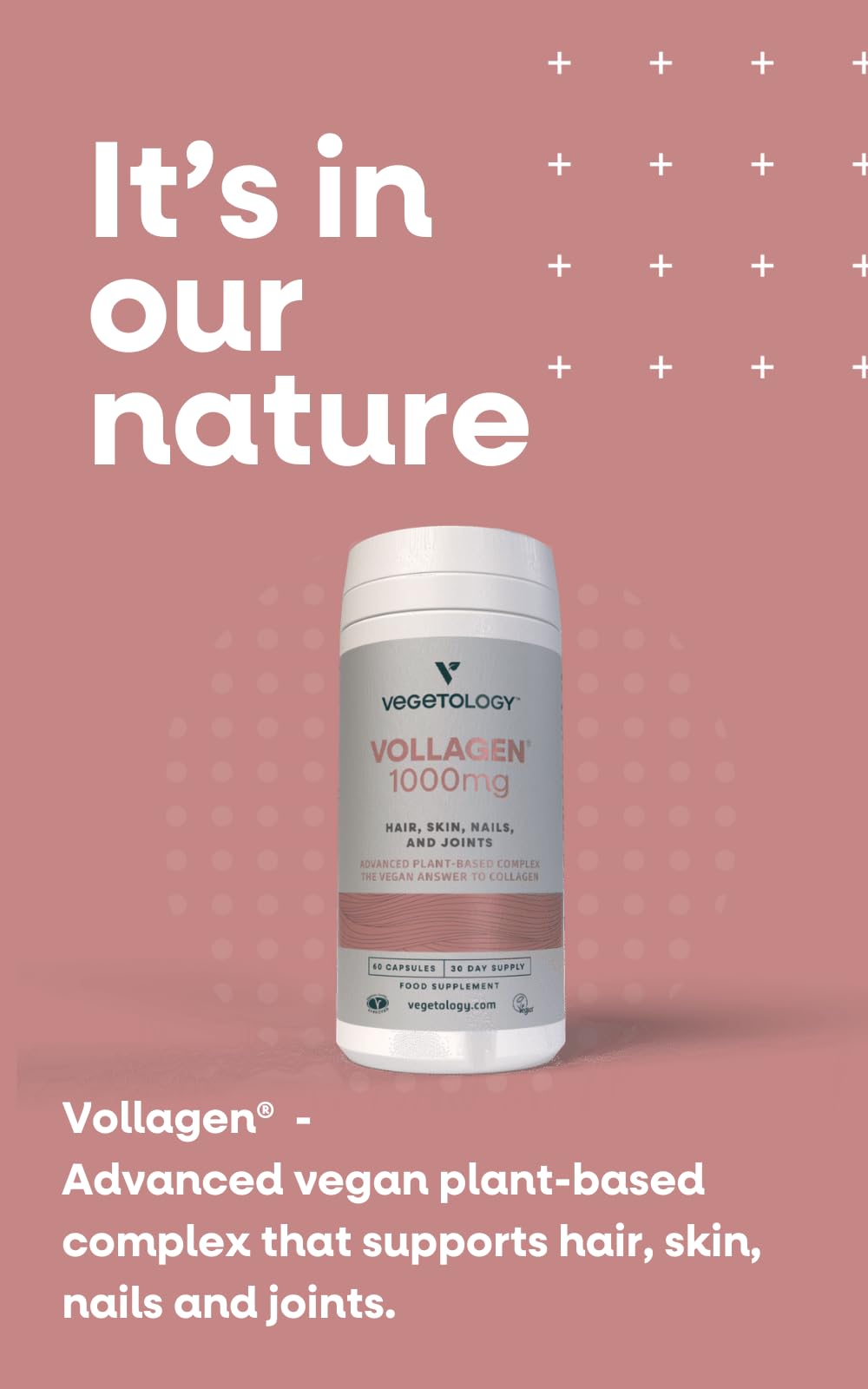 Vegetology Vollagen® Plant Based Complex – Plant Based Protein Alternative to Collagen VEGETOLOGY buy supplements canada