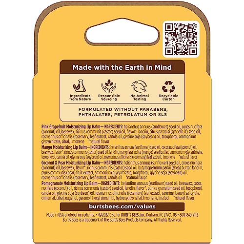 Burt's Bees 100% Natural Moisturizing Lip Balm (Superfruit) Burt's Bees buy supplements canada