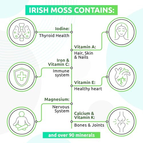 TrueSeaMoss Wildcrafted Irish Sea Moss Gel – Nutritious Raw Seamoss Rich in Minerals TrueSeaMoss buy supplements canada