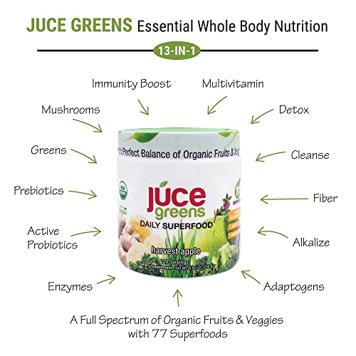 Terra Kai Organics JUCE Green Superfood Powder, Organic Fruits and Veggies Supplement Terra Kai Organics buy supplements canada