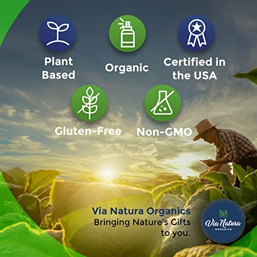 Via Natura Organics Apple Cider Vinegar Capsules 1000mg | Organic Herbal Supplement Via Natura Organics buy supplements canada