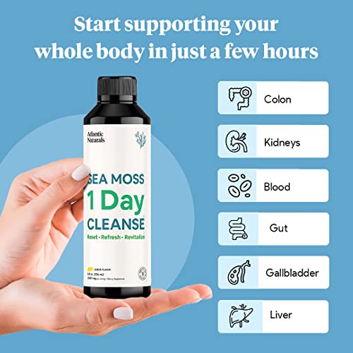 Sea Moss 1 Day Cleanse - Full Body Detox to support bowel movements, Kidney Health Atlantic Naturals buy supplements canada
