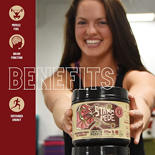 Earth Fed Muscle Stammpede DragoFruit Punch Pre Workout, 30 Servings, Boost Energy Earth Fed Muscle buy supplements canada