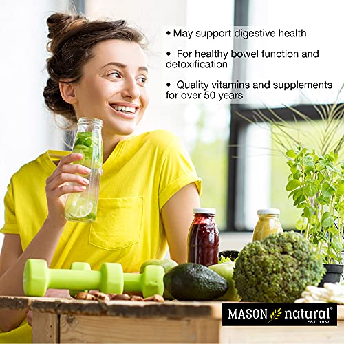 MASON NATURAL Peppermint Oil 50 mg Enteric Coated - Natural Gastrointestinal Comfort MASON NATURAL buy supplements canada