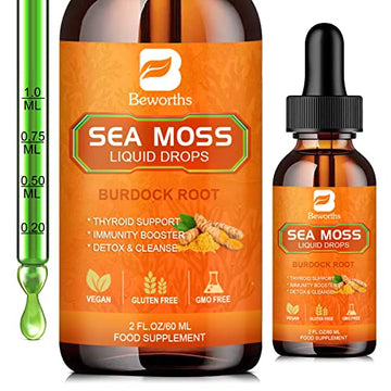 B BEWORTHS Sea Moss Liquid Drops - Organic Irish Sea Moss Raw Gel with Burdock Root B BEWORTHS buy supplements canada