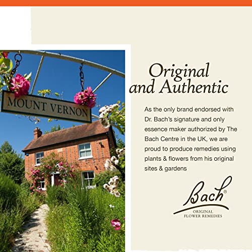 Bach Original Flower Remedies, Rock Rose for Courage (Non-Alcohol Formula), Natural Homeopathic Bach buy supplements canada