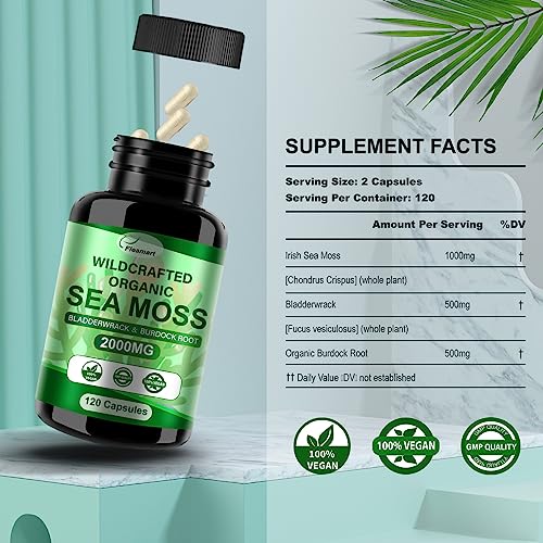 Fleamart 2 Pack Irish Sea Moss Capsules 120ct Raw Organic Sea Moss Wildcrafted Bladder Fleamart buy supplements canada