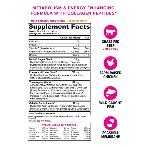Multi Collagen Burn: Multi-Type Hydrolyzed Protein Peptides with Hyaluronic Acid, Vitamin Vitauthority buy supplements canada