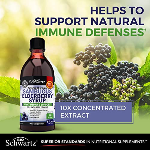 Elderberry Syrup for Kids and Adults - Natural Immune Support with Zinc and Vitamin C BioSchwartz buy supplements canada