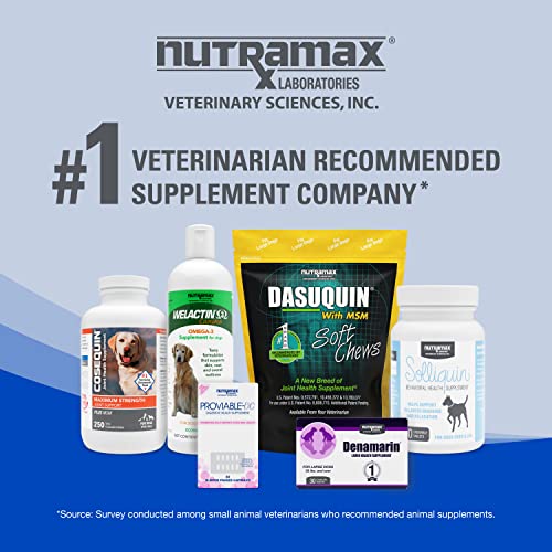 Nutramax Cobalequin B12 Supplement for Cats and Small Dogs, 45 Count (Pack of 1) Nutramax Laboratories buy supplements canada