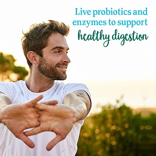 Garden of Life Perfect Food Super Green Formula - 14 Servings | 45 Superfoods, Greens Garden of Life buy supplements canada