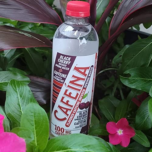 Cafeina - Naturally Flavored Black Cherry Caffeinated Spring Water (12 Pack) - 100mg Caffeine CAFEINA buy supplements canada