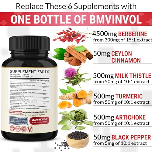 BMVINVOL Premium Berberine HCl 6-in1 Equivalent 6100mg - 120 Capsules - Plus Ceylon BMVINVOL buy supplements canada