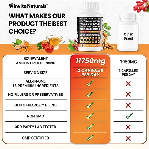 Ceylon Cinnamon 3000mg Apple Cider Vinegar 3000mg Turmeric 2000mg Panax Ginseng Winvita Naturals buy supplements canada