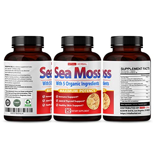 VITAL HERBAL Irish Sea Moss Capsules Equivalent to 5450mg - Maximum Potency VITAL HERBAL buy supplements canada