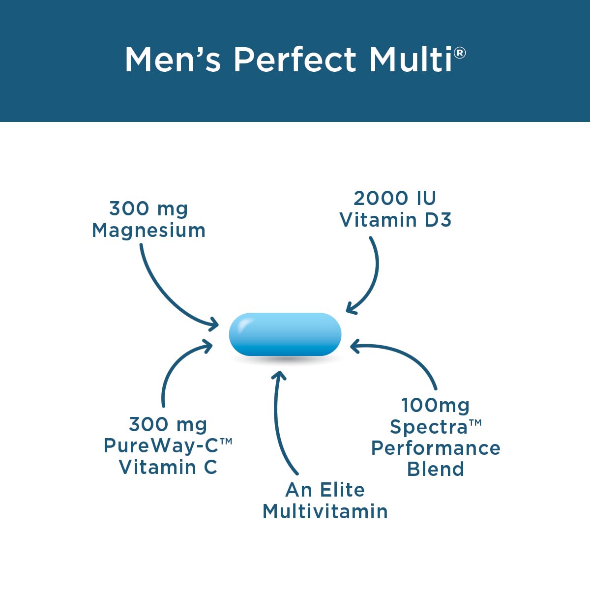 Purity Products Men's Perfect Multi from Vitamins, Minerals and Phytonutrients - Promotes Energy, Vitality and Stamina - Easy to Swallow - 90 Tablets Purity Products buy supplements canada