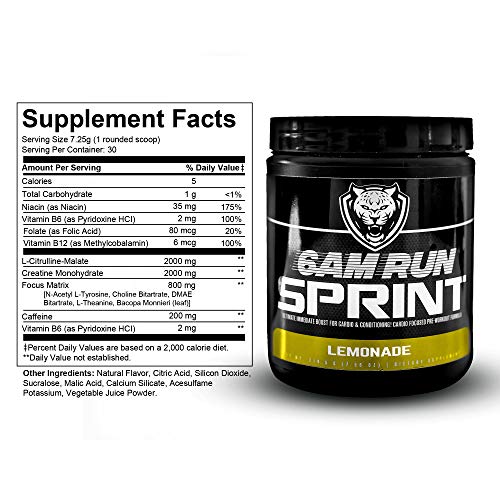6AM Run Sprint - Pre Workout Powder for Instant Energy Boost for Cardio and Focus 6AM Run buy supplements canada