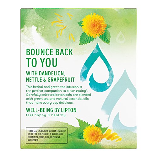Lipton Green Tea Bags, Herbal Supplement for Detox, 15 Count (Pack of 4) Lipton buy supplements canada
