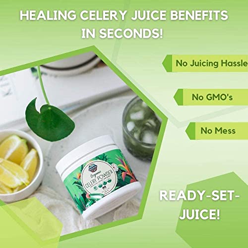Organic Celery Juice Powder (40 Servings) Supports Gut Health, Detox Juice Cleanse Paradise Naturals, Purest Ingredients from the Source buy supplements canada