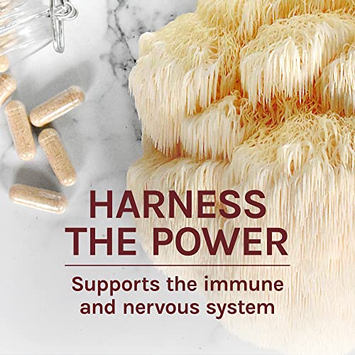 Host Defense, Lion's Mane Capsules, Promotes Mental Clarity, Focus and Memory Host Defense buy supplements canada