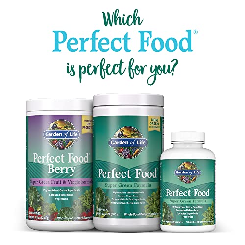 Garden of Life Perfect Food Super Green Formula - 14 Servings | 45 Superfoods, Greens Garden of Life buy supplements canada