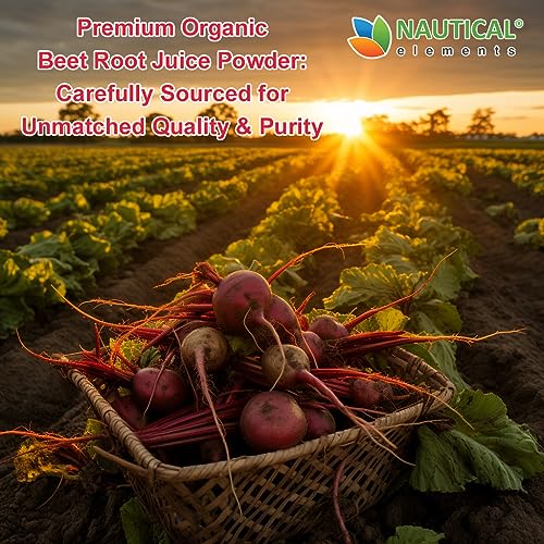 Beet Juice Powder Organic - Cold Pressed - 20:1 Concentrate - Concentrated Beet Root Nautical Elements buy supplements canada