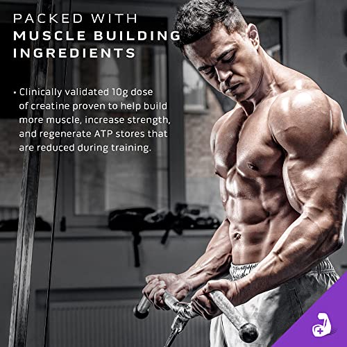 MuscleTech Mass Gainer Protein Powder, Mass-Tech Extreme 2000, Muscle Builder MuscleTech buy supplements canada