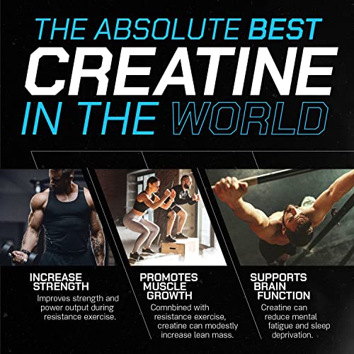 Muscle Feast Creapure Creatine Monohydrate Powder for Muscle Growth Nutritional Muscle Feast buy supplements canada