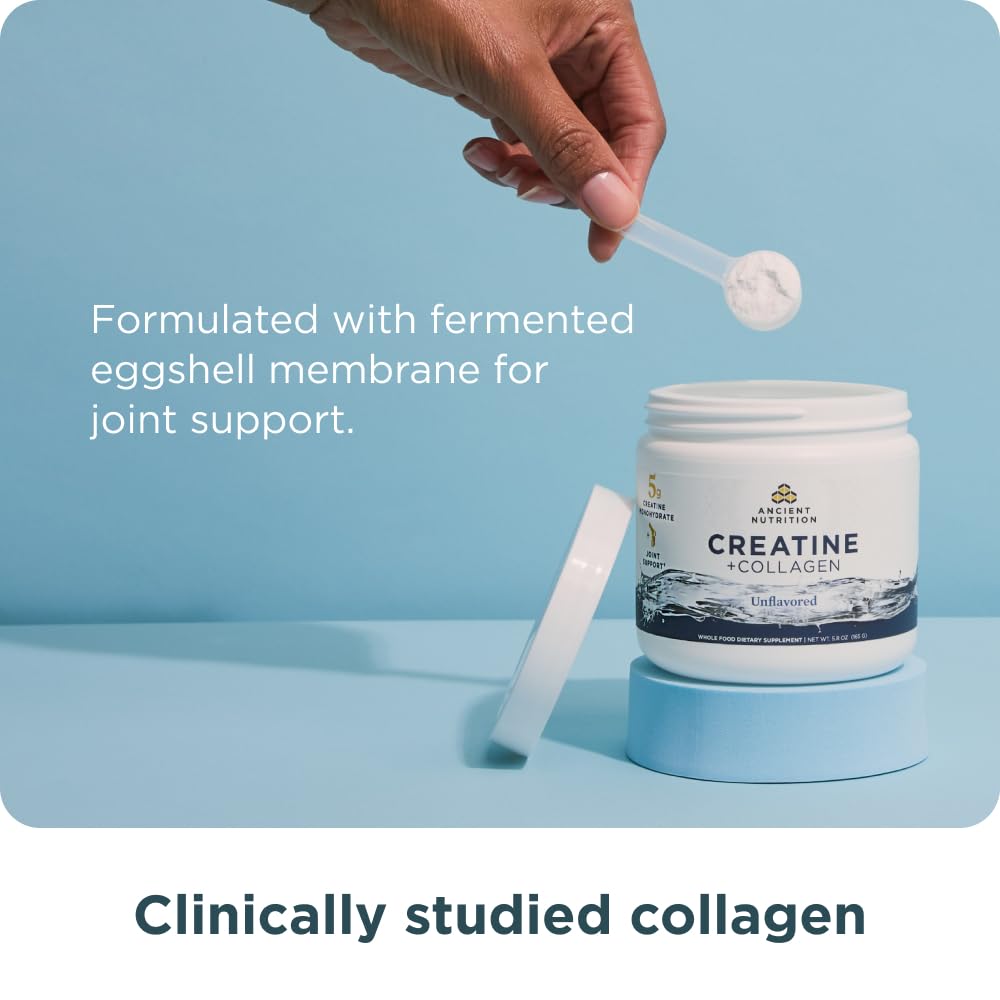Ancient Nutrition Creatine + Collagen – Muscle Strength, Lean Body Mass, Joint Comfort & Cognitive Support – Includes 5g Creatine Monohydrate for Women, 30 Servings Ancient Nutrition buy supplements canada