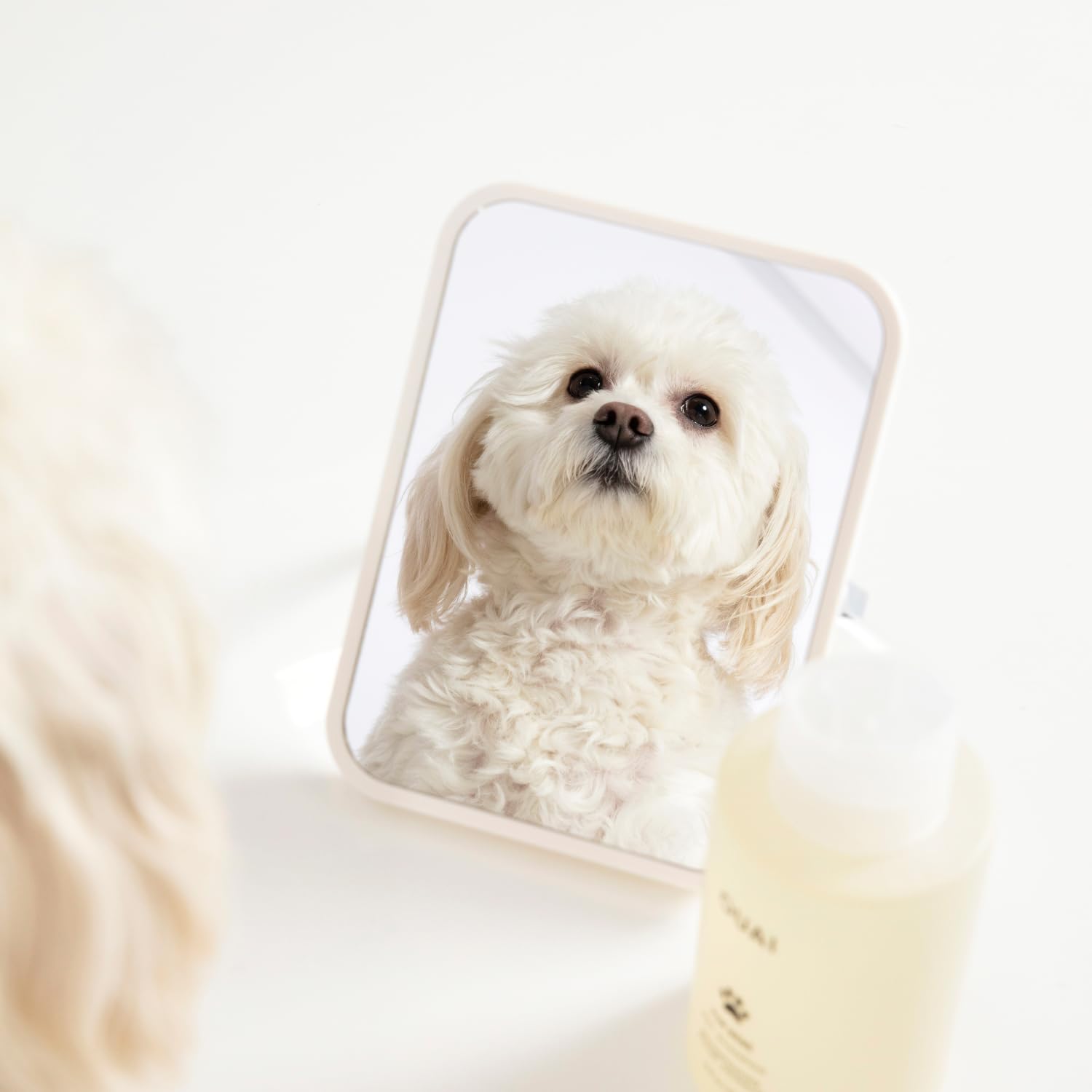 OUAI Fur Bébé Pet Shampoo, Mercer Street Scent - Dog Shampoo and Coat Wash for Hydrating, Cleansing and Adding Shine - Pet Supplies by OUAI (16 Fl Oz) OUAI buy supplements canada