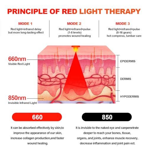 Red Light Therapy Belt Vibrating for Muscle Recovery and Pain Relief DYUF buy supplements canada