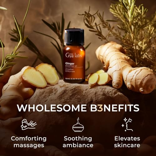 Gya Labs Ginger Oil for Comfort - Natural Ginger Essential Oil for Massage Oil - Ginger Oil Gya Labs buy supplements canada