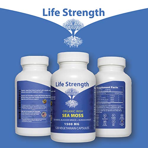 Life Strength Organic Sea Moss 120 CT Wildcrafted Irish Sea Moss and Bladderwrack Burdock Life Strength buy supplements canada