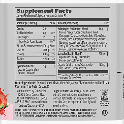 Sunwarrior Plant-Based Preworkout Powder Hydration Blend | Coconut Water Mushroom Sunwarrior buy supplements canada