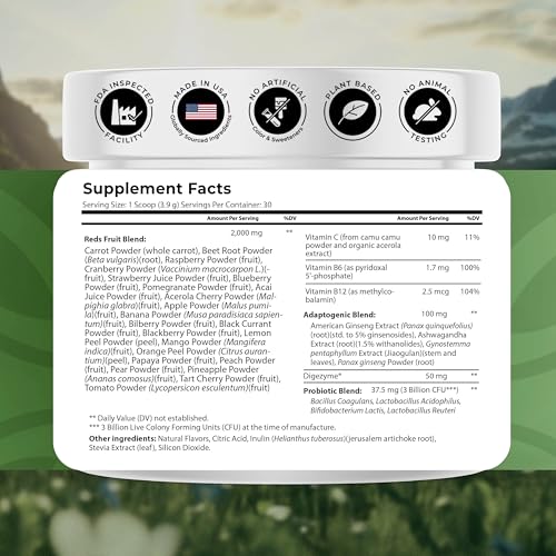 NATURES BLAST Reds - Metabolism and Energy Superfood Powder with 23 Red Fruits, 4 Adaptogens, Probiotics & Enzymes - Vegan Antioxidant Blend, 1 Bottle NATURES BLAST buy supplements canada