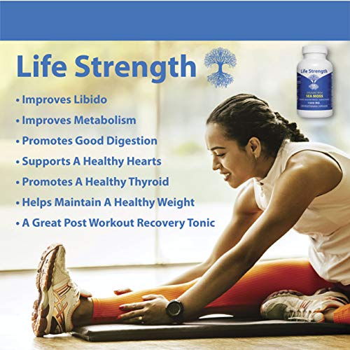 Life Strength Organic Sea Moss 120 CT Wildcrafted Irish Sea Moss and Bladderwrack Burdock Life Strength buy supplements canada