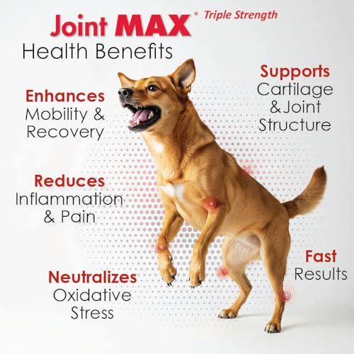 Joint Max TS Joint Supplement Vet Formulated Pain & Inflammation Relief Treats Hip Dysplasia & Arthritis, Glucosamine, Chondroitin, Turmeric, MSM, HA, Creatine, Omega 3 EPA + DHA.120 Soft Chews Joint Max buy supplements canada