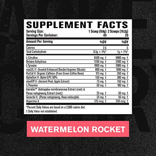 Jacked Factory Nitrosurge Max Nootropic Pre Workout Powder - Premium Pre Workout Jacked Factory buy supplements canada