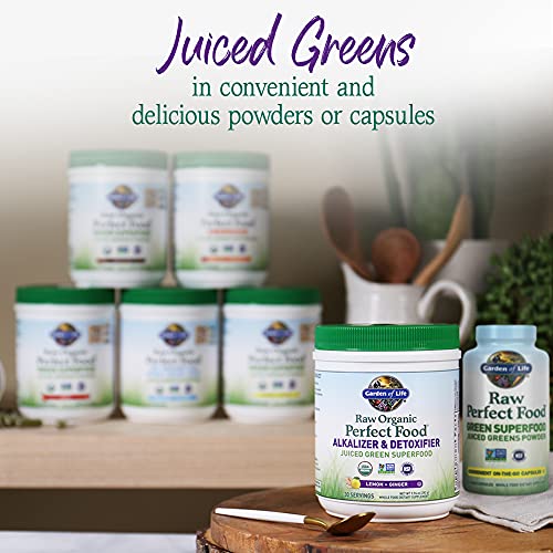 Garden of Life Raw Organic Perfect Food Alkalizer and Detoxifier, Lemon Ginger Flavored Superfood Powder Supplement, 30 Servings Garden of Life buy supplements canada