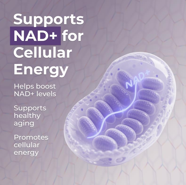 Neurogan Beta NMN (β-NMN) Supplement 500 mg per Serving, High Purity – NAD+ Precursor for Cellular Energy & Vitality – 120 Capsules (2-Month Supply) – Made in USA Neurogan buy supplements canada