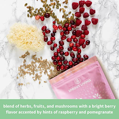 Sprout Living Epic Protein, Plant Based Protein & Superfoods Powder, Pro Collagen, Sprout Living buy supplements canada