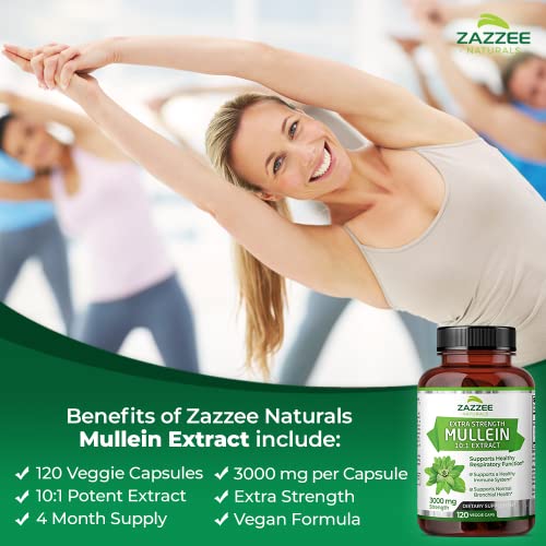 Zazzee Extra Strength Mullein 10:1 Extract, 3000 mg Strength, 120 Vegan Capsules Zazzee buy supplements canada