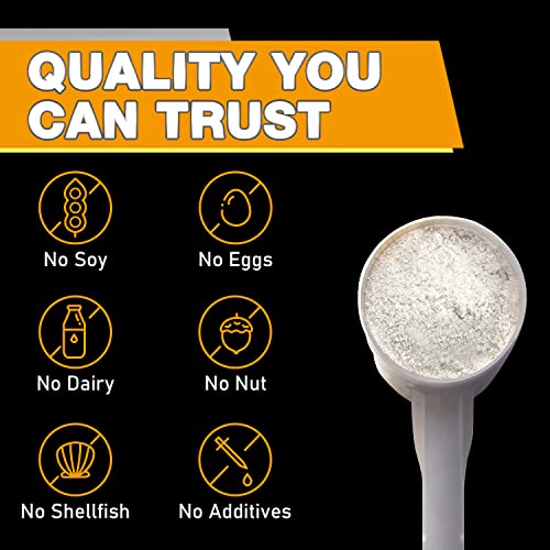 Rep N Roll Micronized Creatine Powder, 45 Serv., Creatine Monohydrate 5000 MG Rep N Roll buy supplements canada